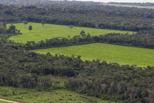 Facebook is trying to stop the sale of Amazon rainforest land on its Marketplace