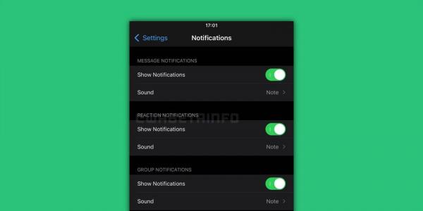 WhatsApp for iOS continues work on new message reaction feature