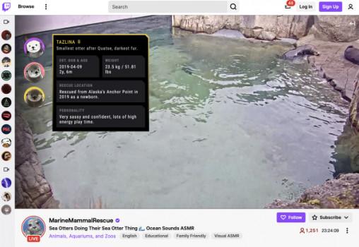 Twitch’s new Animals livestream category may give you that fuzzy feeling1