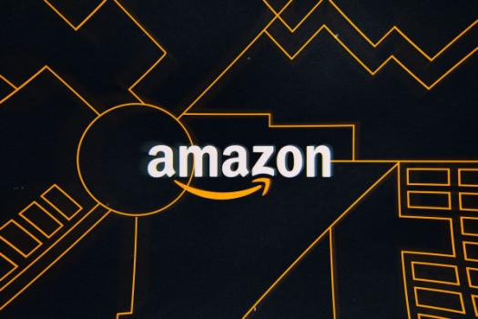 Amazon shareholders are calling for independent audit of how the company treats workers
