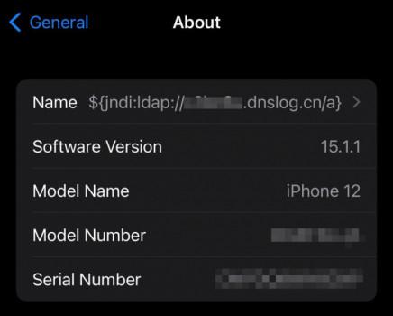 Researchers trigger new exploit by renaming an iPhone and a Tesla1