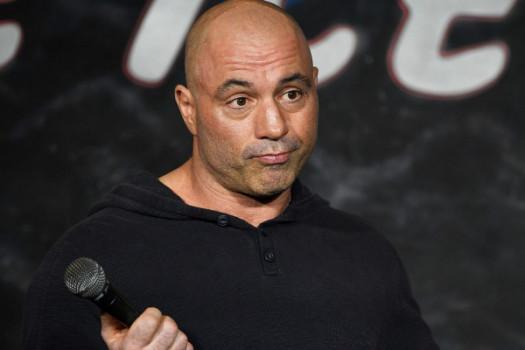 What you learn after 350 hours of Joe Rogan