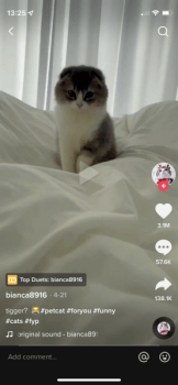 TikTok is giving some users a less cluttered viewing experience1