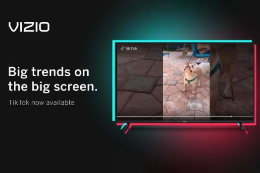 TikTok comes to Vizio TVs