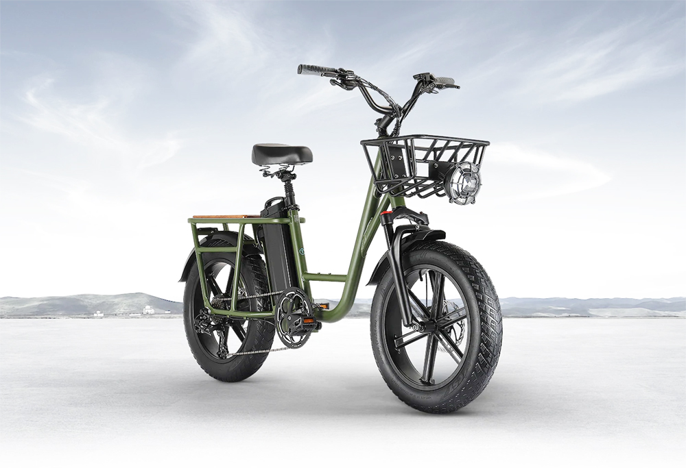 1289€ with Coupon for FIIDO T1 Cargo Electric Bike 20*4.0 Inch Fat - EU 🇪🇺 - GEEKBUYING